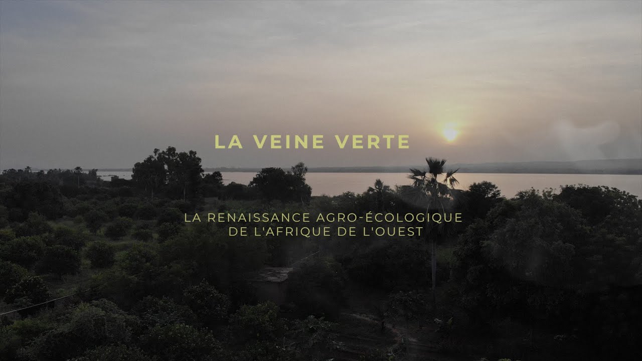 La Veine Verte: La Renaissance Agroecologique de l’Afrique d’ Ouest