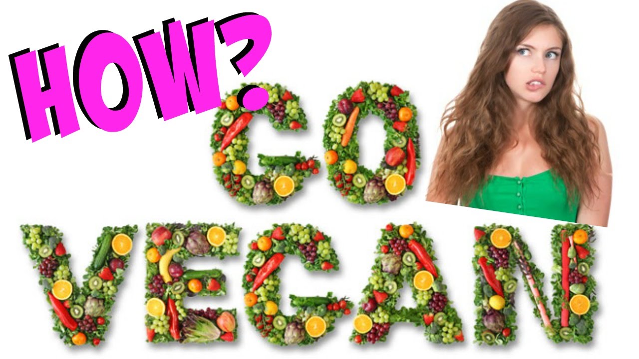 HOW TO GO VEGAN + Our Best Tips!