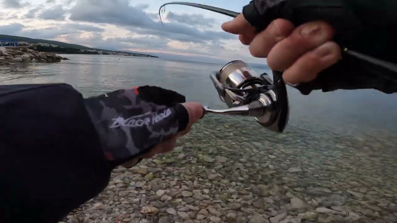 Leerfish and seabass on Duo Pocopoco 40F Adriatic Sea