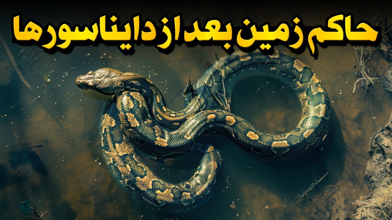 تیتانوبوآ، بزرگ ترین مار تمام تاریخ زمین