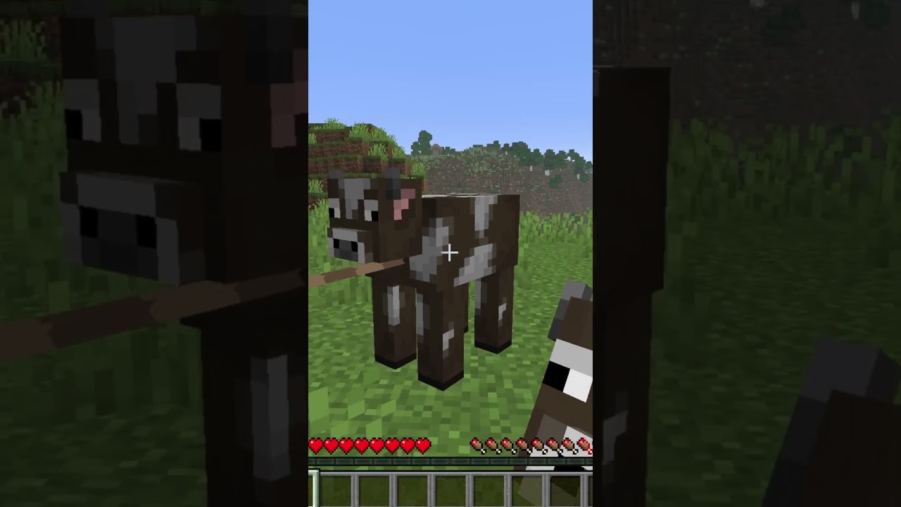 NOŻYCE SĄ TERAZ NAPRAWDĘ PRZYDATNE w Minecraft!