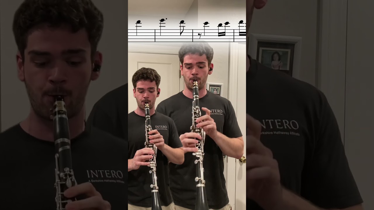 Hungarian Dance No. 5! #clarinettist #musician #clarinet #music #clarinetplayer #clarinetist