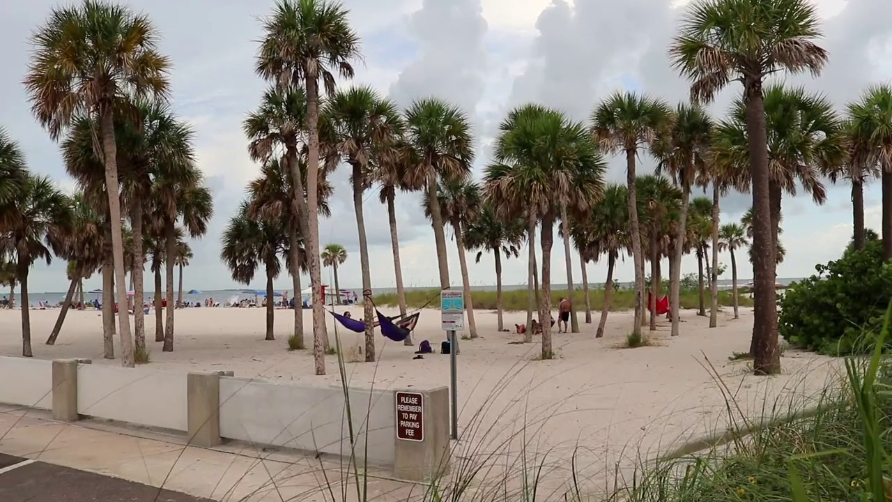 Fred Howard Park - The Best Family Beach Spot near Tampa Bay in Tarpon Springs Florida
