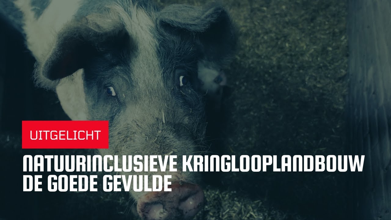 Uitgelicht | Natuurinclusieve kringlooplandbouw De Goed Gevulde