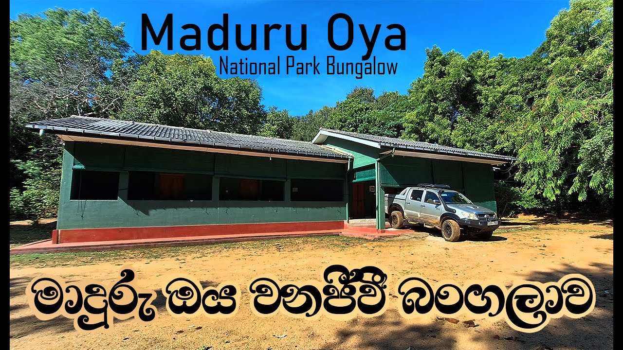 Maduru Oya Circuit Bungalow | මාදුරු ඔය බංගලාව | Maduru Oya National Park | Sri Lanka