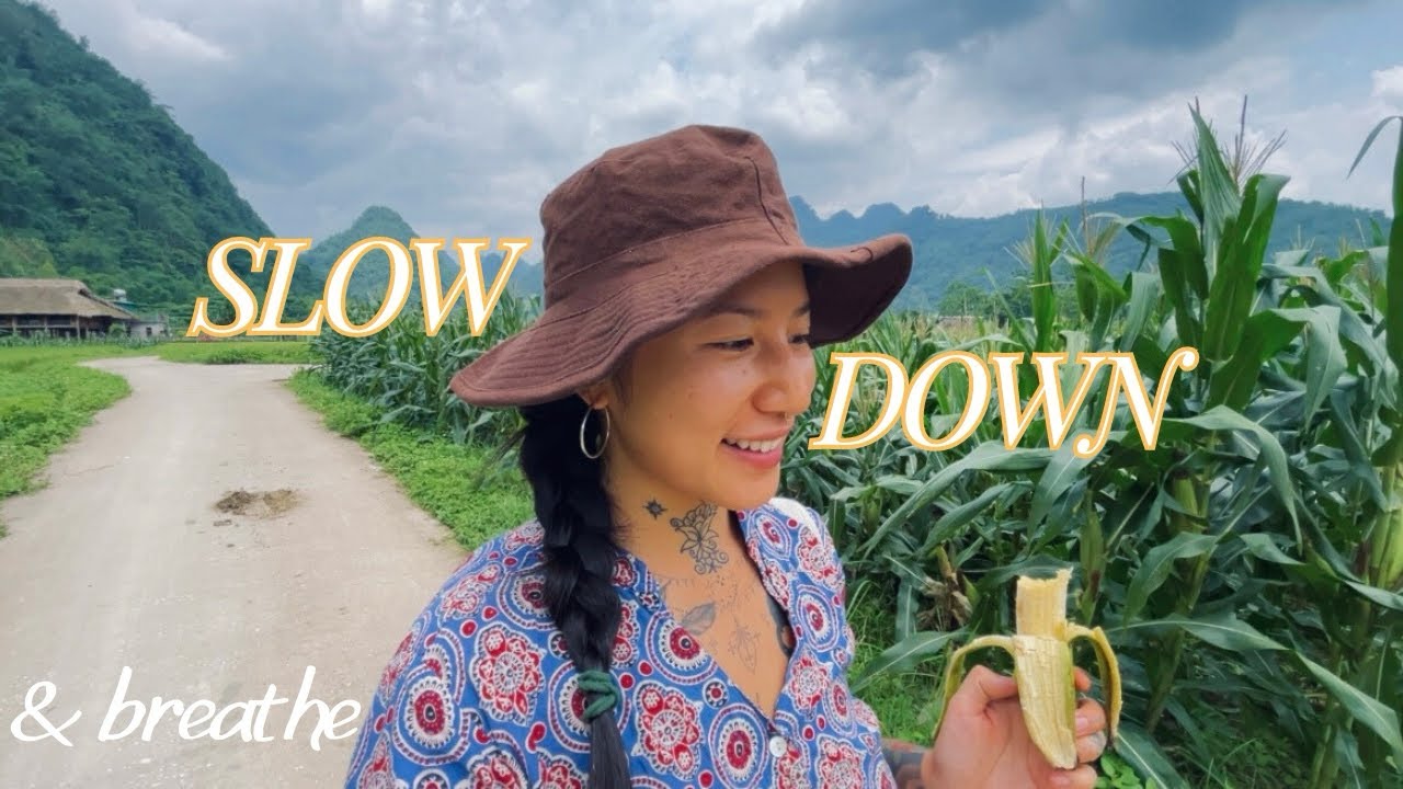 Vietnam’s Hidden Gems: A Solo Journey off the Beaten Path 🇻🇳🌾