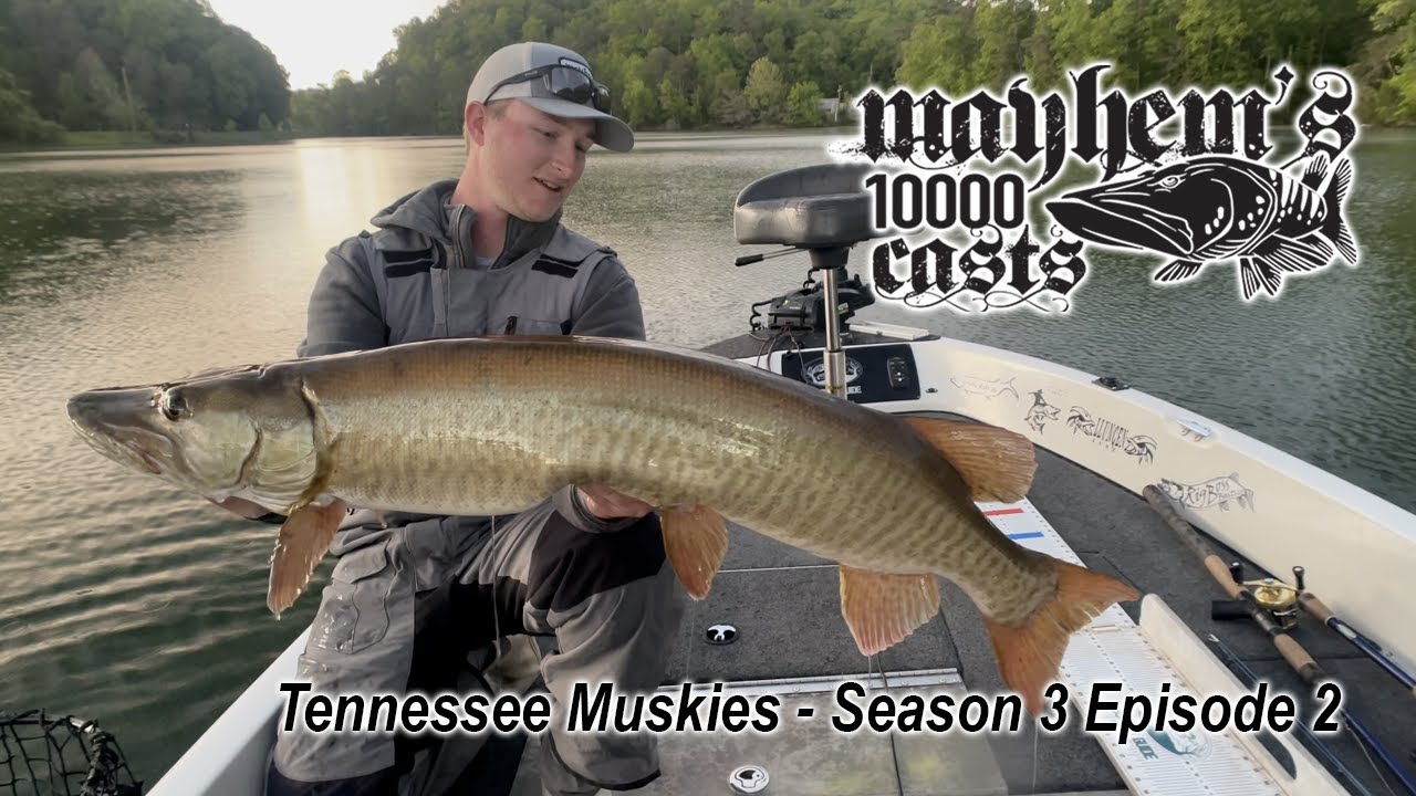 Сезон 3, эпизод 2, Melton Hill Muskies — Mayhem's 10000 Casts
