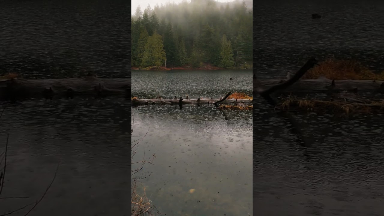 💚Beautiful British Columbia☔Grace Lake💚