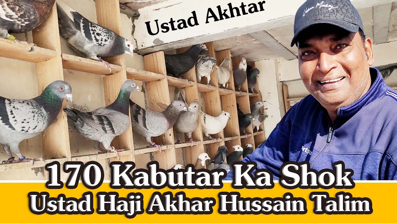 Ustad Akhtar K 170 Kabutar Ka Shok, Baara Dari, Ballimaran, Old Delhi