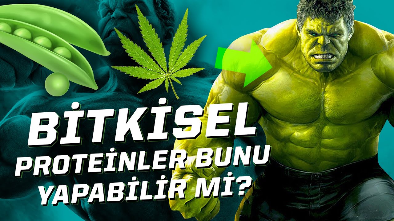 Bitkisel Proteinler Sandığımızdan Çok Daha Önemli!