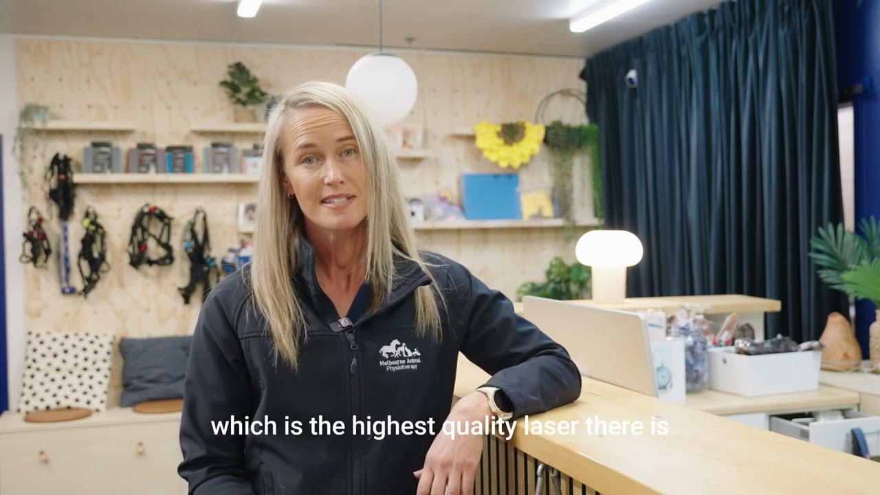 About Melbourne Animal Physiotherapy