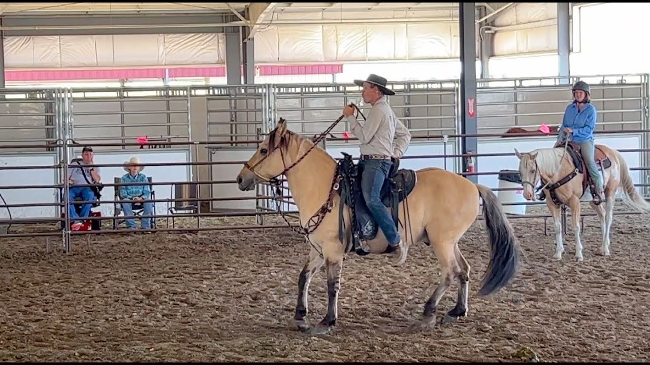 How YOUR Mentality Affects Your Horse