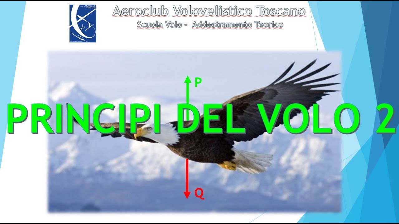 PRINCIPI DEL VOLO Lezione 2/3