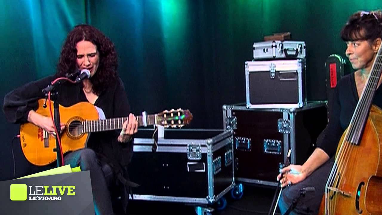 Claire Diterzi - Roi des fôrets - Le Live