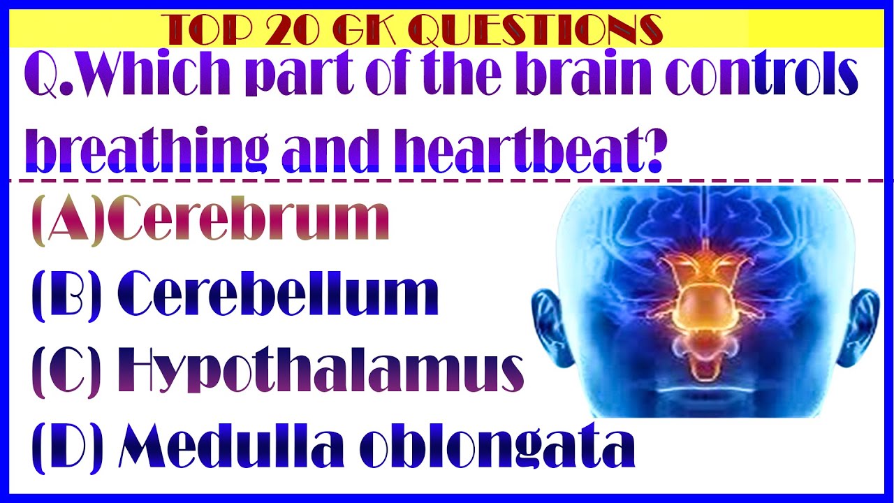 “Biology GK MCQs  Human Body & Plant Science  Competitive Exams”