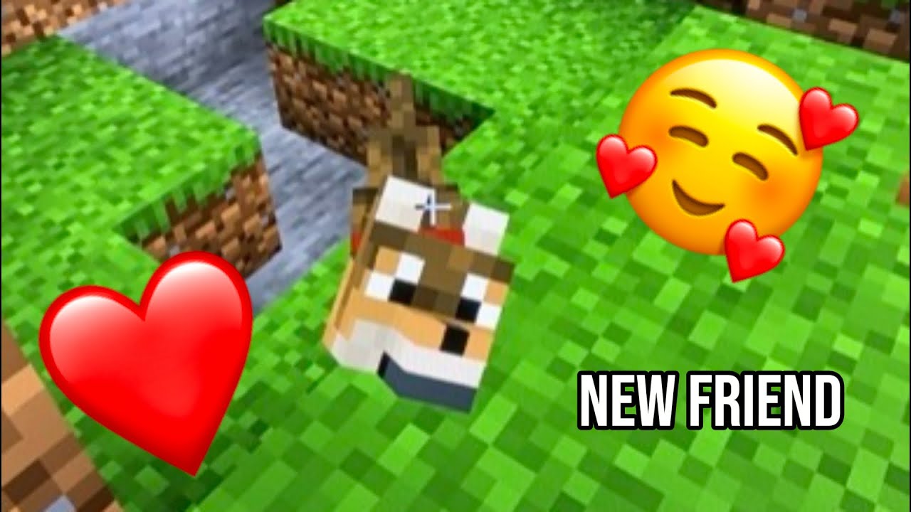 I Made A Friend (Minecraft Part 2)