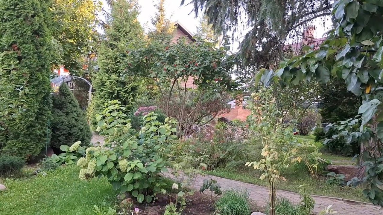 Прогулка по нашему осеннему саду.😍 Рассказ  о себе. #василистникжёлтый