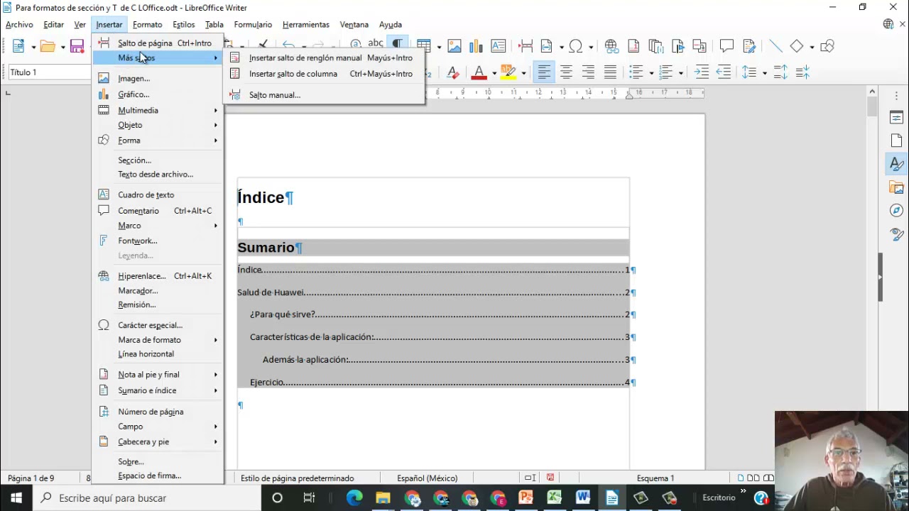 LibreOffice W   índice   número de página   carátula
