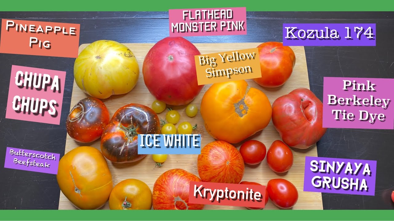 I’m a TOTAL LIAR and MY husband is COLORBLIND/FORGOTTEN Tomato Taste Test