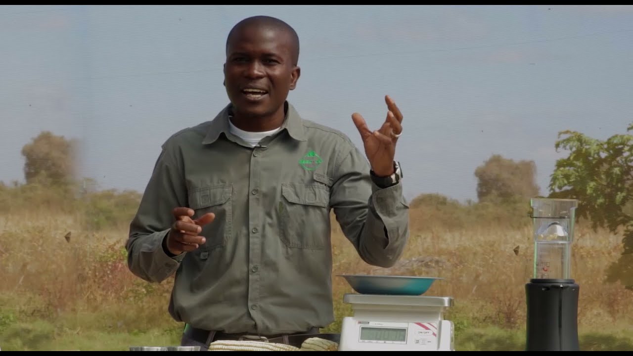 Estimating Maize Shell-out Percentage