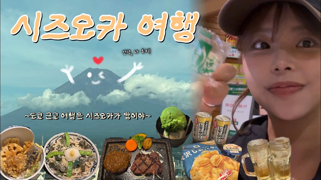 [일본 소도시 여행] 시즈오카 시내 탐방하고 왔어요! 👀 (도쿄워홀러의 힐링나들이..🤍) | 사와야카함바그, 나나야 말차아이스크림