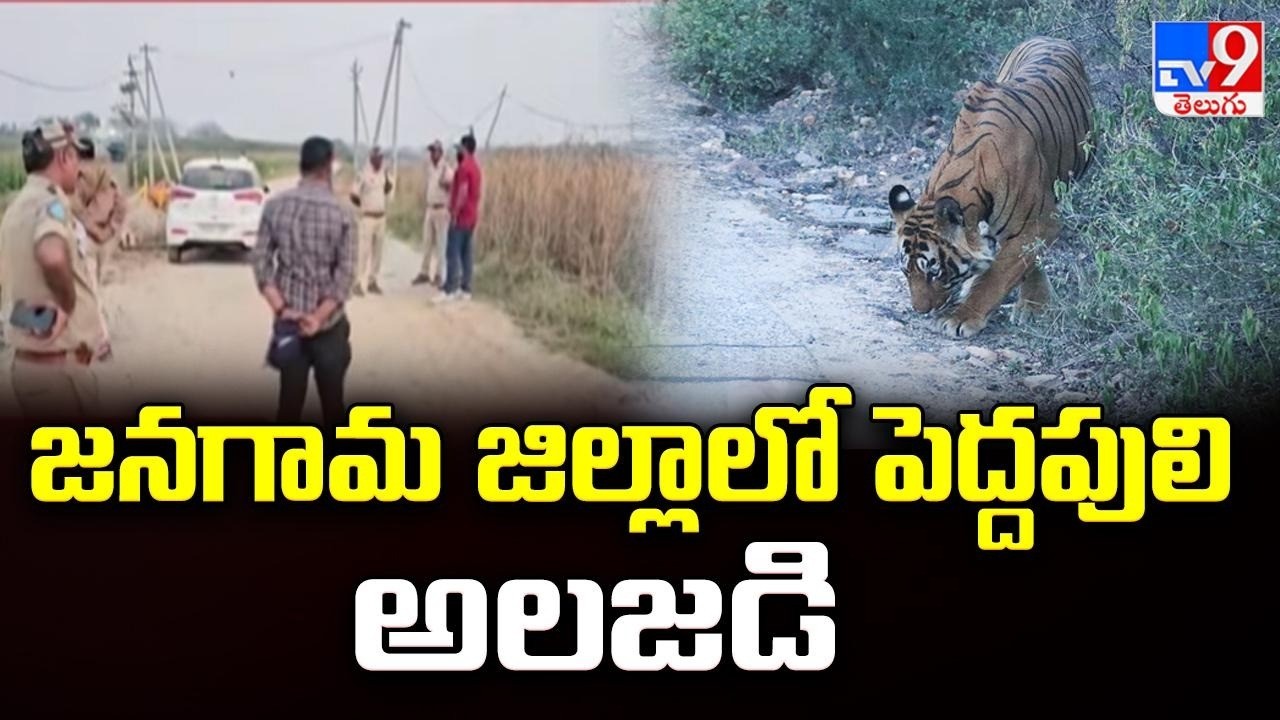 Tiger Terror in Jangaon: జనగామ జిల్లాలో పెద్దపులి అలజడి - TV9