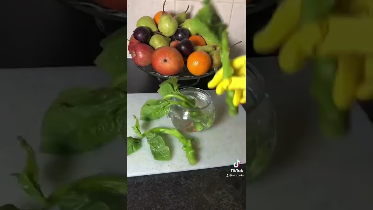 How to grow Malabar spinach /poi saag from stem