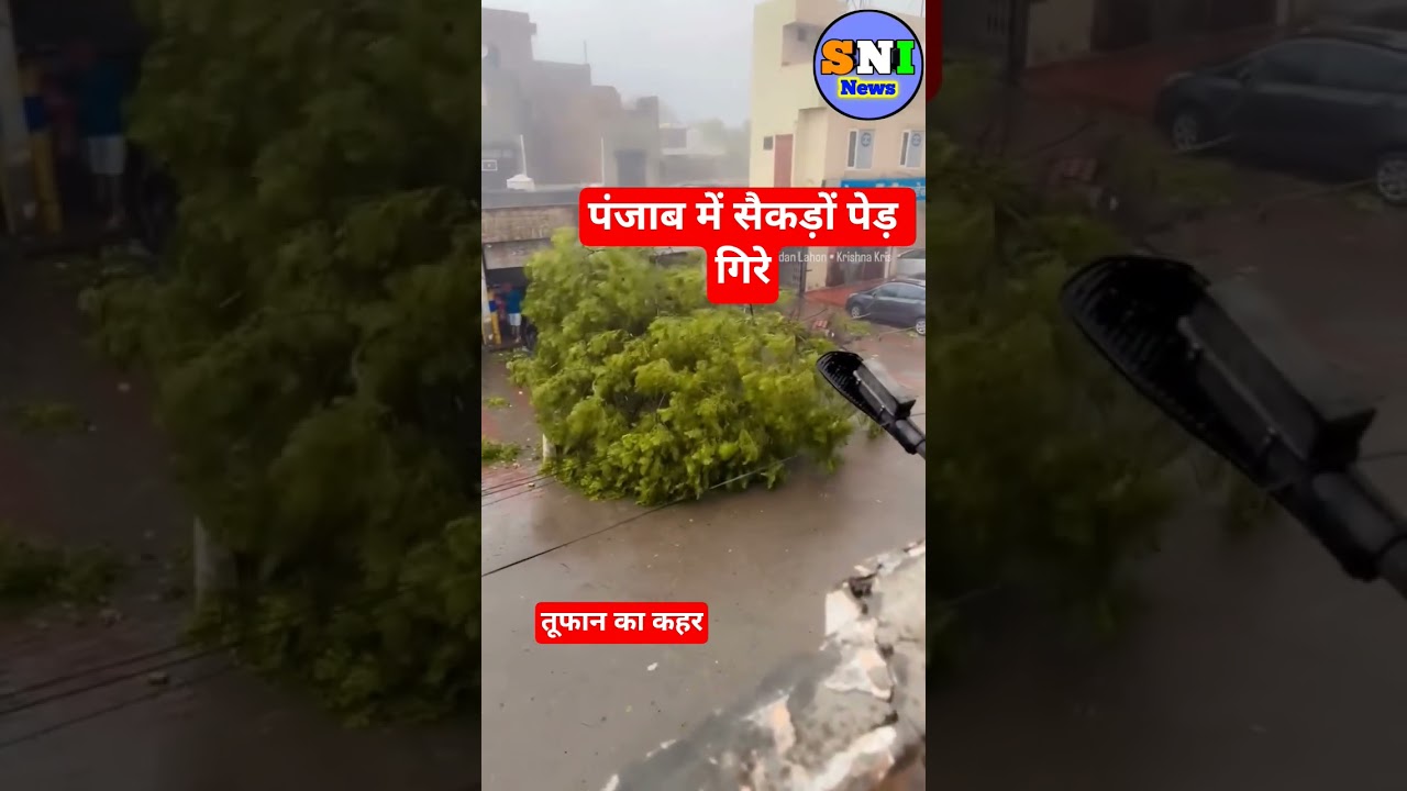 🚨 Heavy storm causes massive destruction in Punjab!