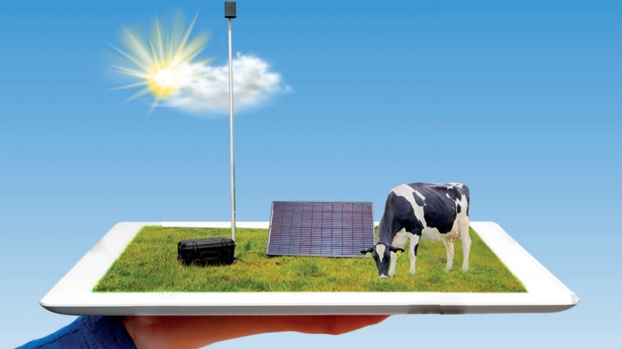 Allflex Solar Power Station