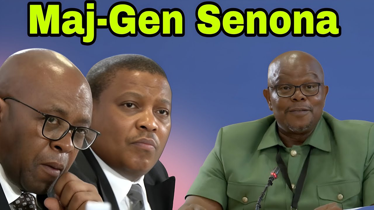 Madlanga Commission of Inquiry: Major-General Lesetja Senona