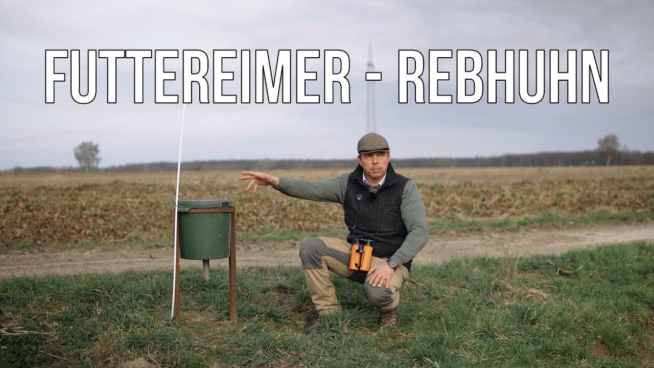 Freunde der Jagd - Folge 33 - Rebhuhn füttern? Sind die Bauern Schuld? #niederwildtestrevier