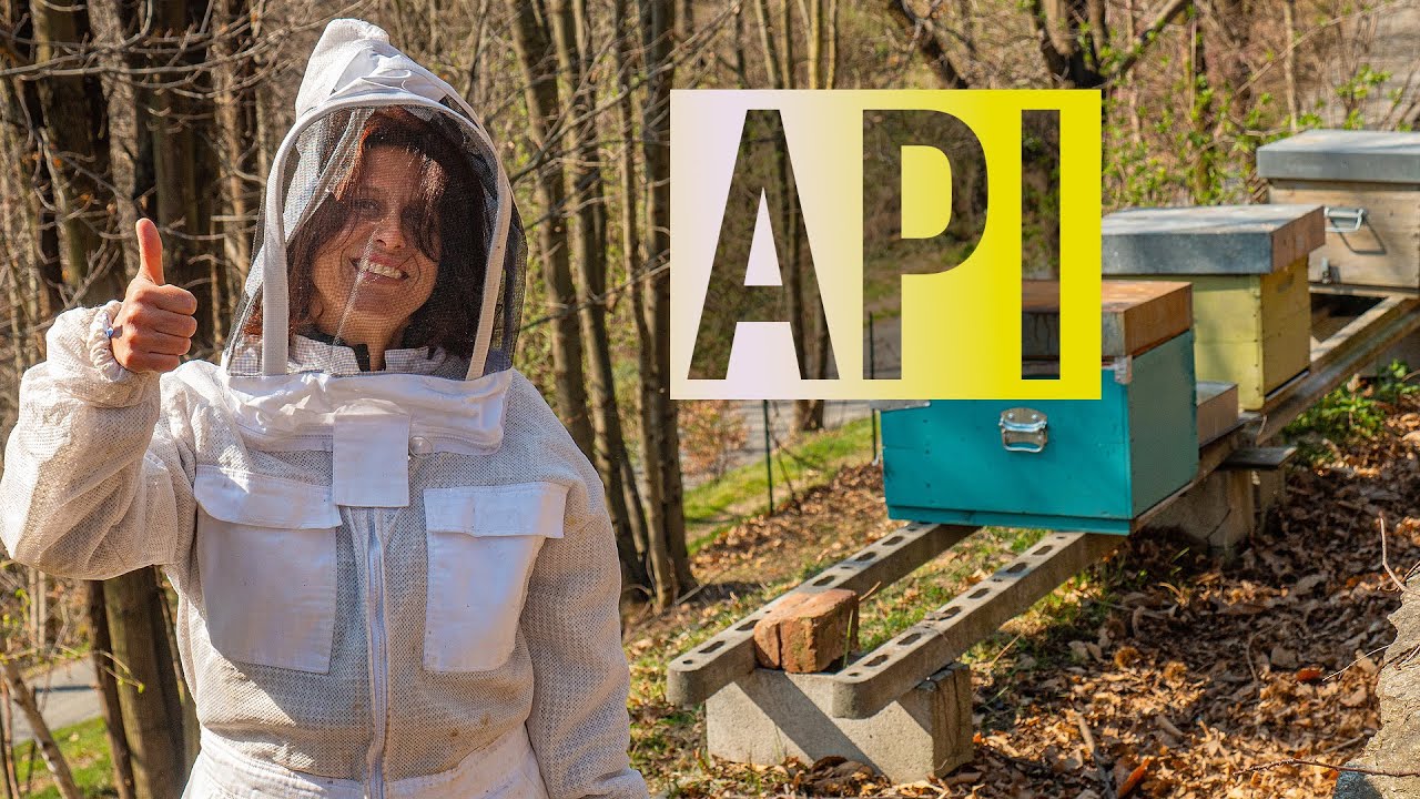 COME DIFENDERE LE API 🐝🐝