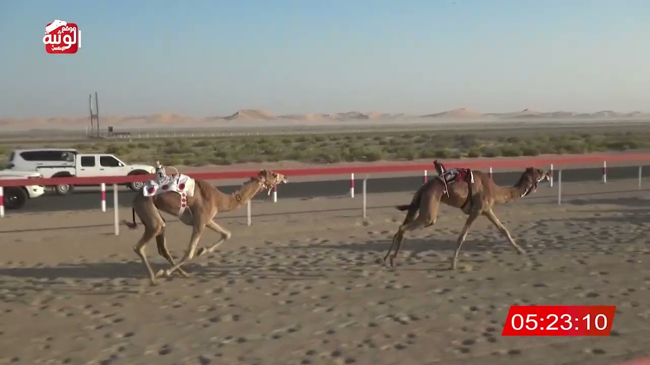 ش 5 (نوادر) لـ سعيد احمد سالم بن هويمل العامري 8:10 ، شارة الديوان 2026/2/15 إيذاع رماح