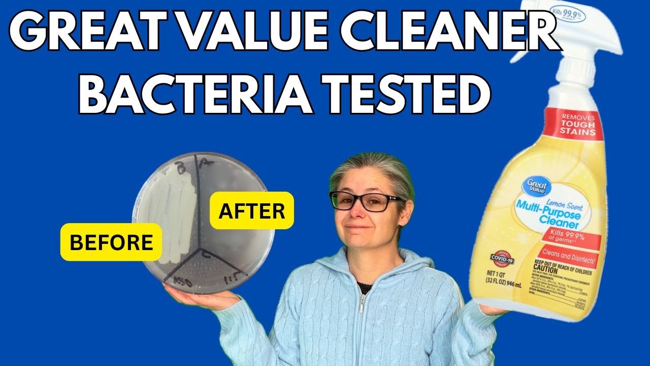 Does Great Value Multi-Purpose Cleaner Kill Bacteria? Real Petri Dish Test In My Home
