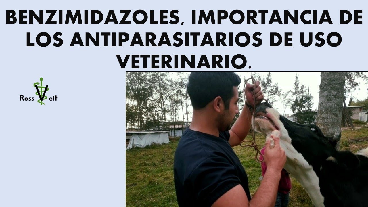 BENZIMIDAZOLES, Importancia de los antiparasitarios de uso veterinario.