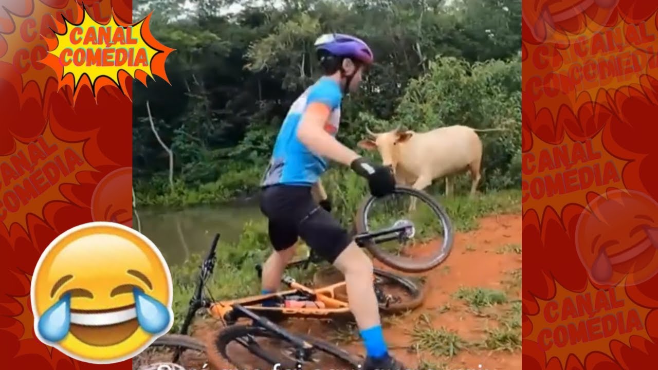 TENTE NÃO RIR - IMPOSSÍVEL MELHORES  MEMES e vídeos engraçados 2024