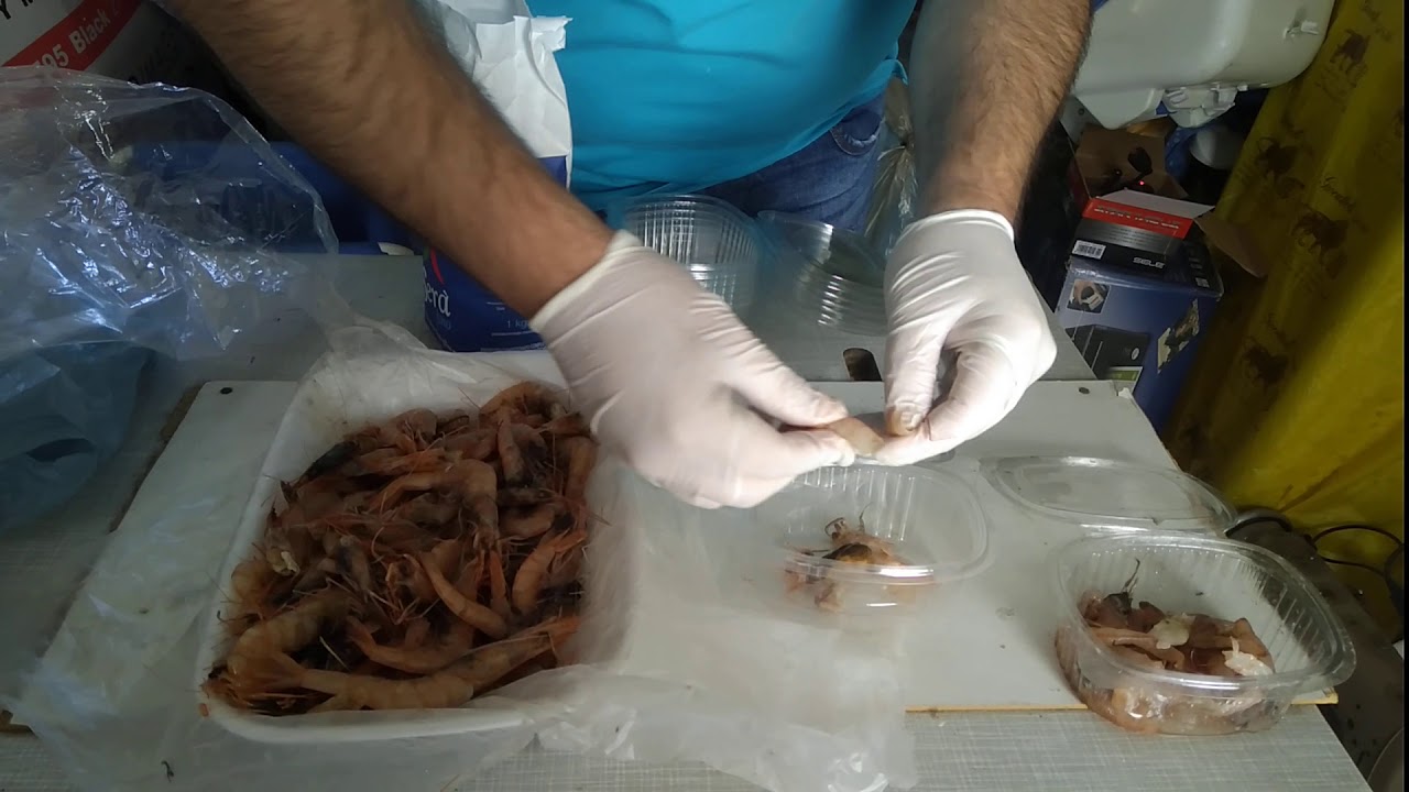 Gambero esca micidiale per saraghi di taglia