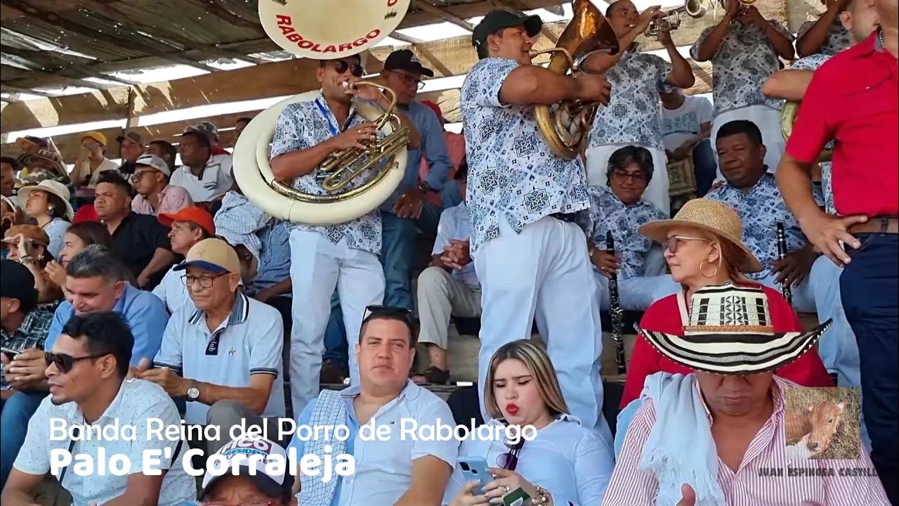 ✅🔥PALO E' CORRALEJA 🦬 - Banda Reina del Porro de Rabolargo