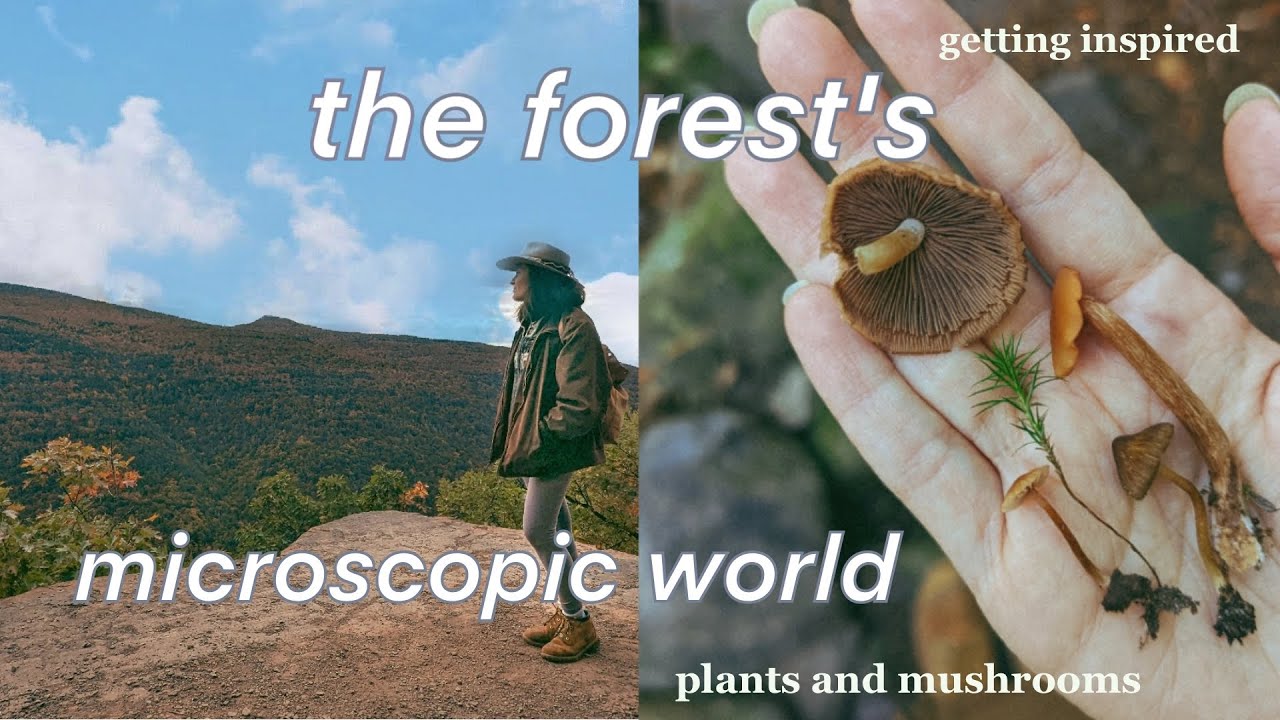 Living in the Valley & What's Next for my Bio Art Studio ♡