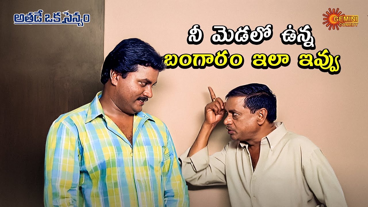 MS నారాయణ ఒక్క ప్రశ్నతో దొంగకే చుక్కలు చూపించాడు | Sunil | Athade Oka Sainyam | Telugu Comedy scene