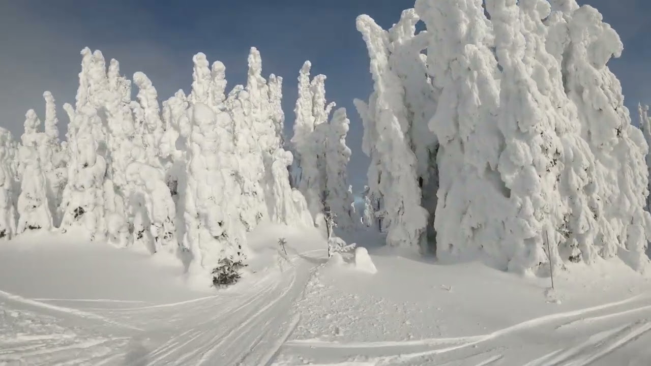 Sun Peaks British Columbia skidutbildning - En Dag på Berget