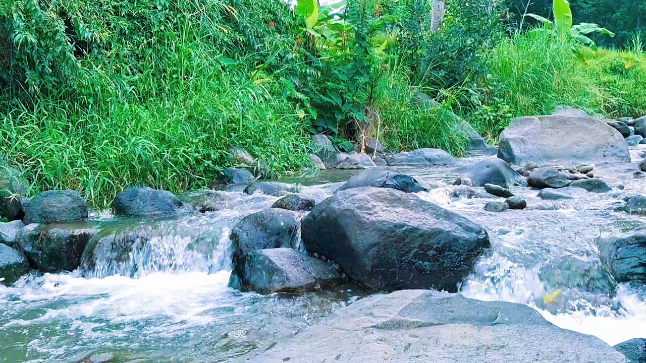 Peaceful Mountain River for Stress Relief
