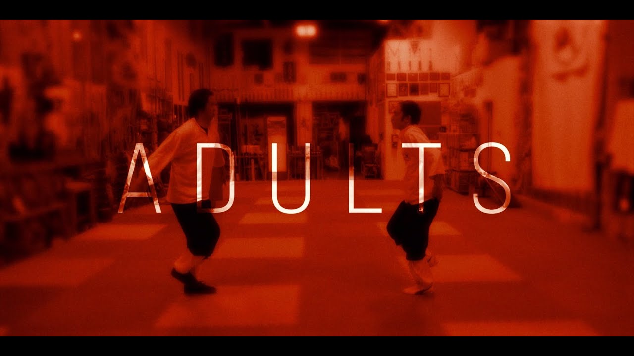 Chung Wah Kung Fu - Adults Program