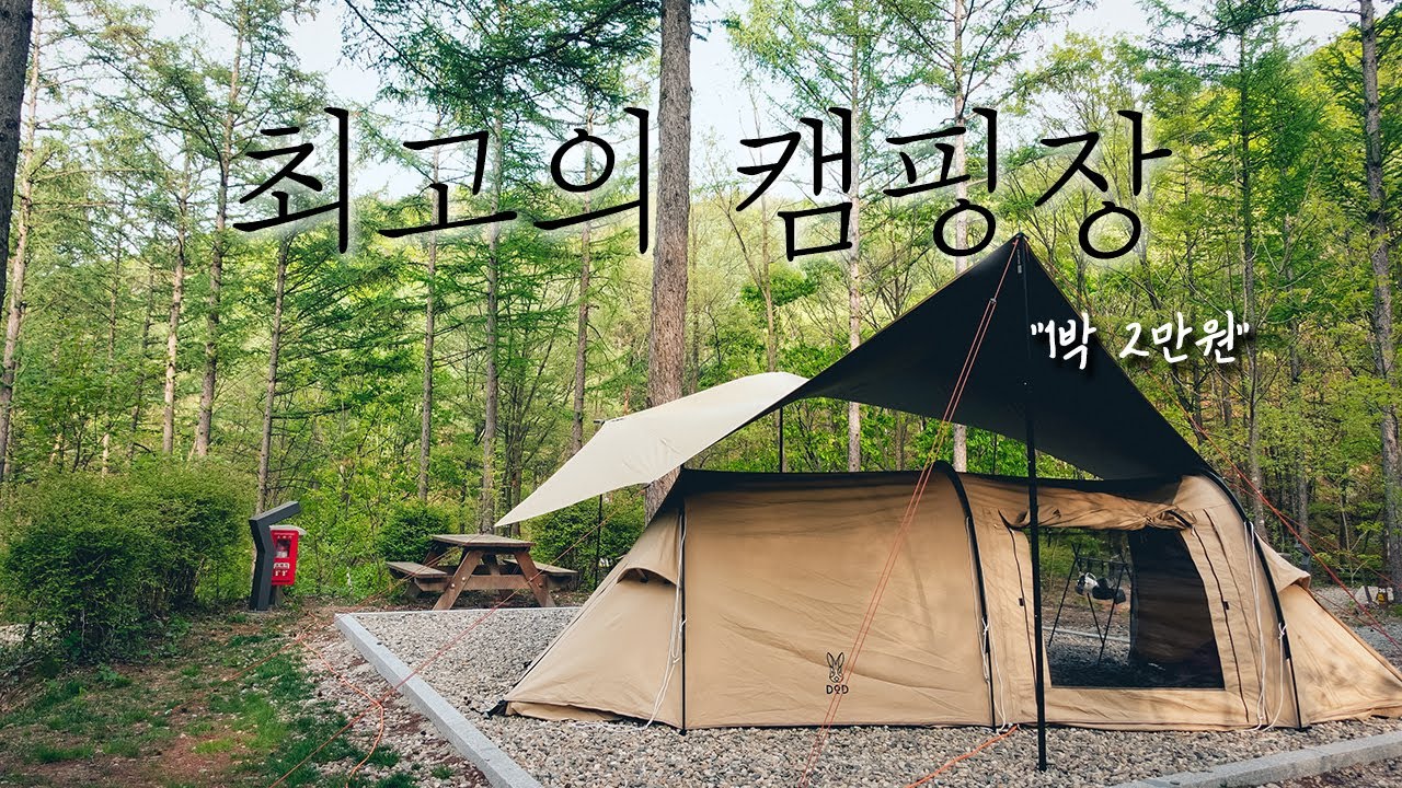 국립화천숲속야영장 | 단돈 1박2만원 | 환경, 시설, 가격까지 100점! 최고의 국공립 캠핑장 | 에이웍스실타프