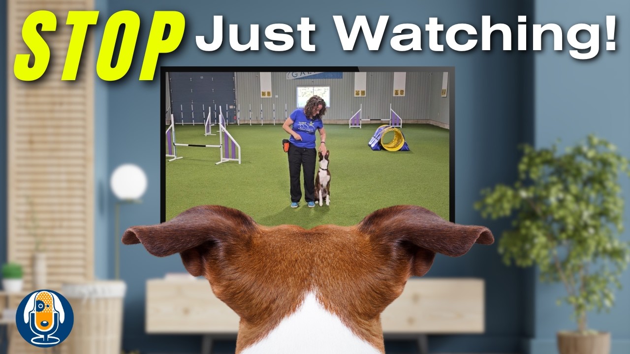 Stop Just Watching Dog Training Videos: Mastering Active Learning Instead! #289 #podcast