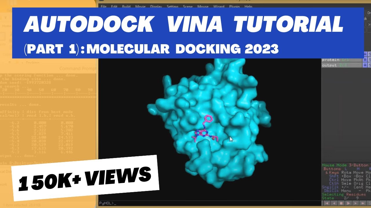 Учебное пособие по молекулярной стыковке: AUTODOCK VINA — ЧАСТЬ 1 | От новичков до продвинутых