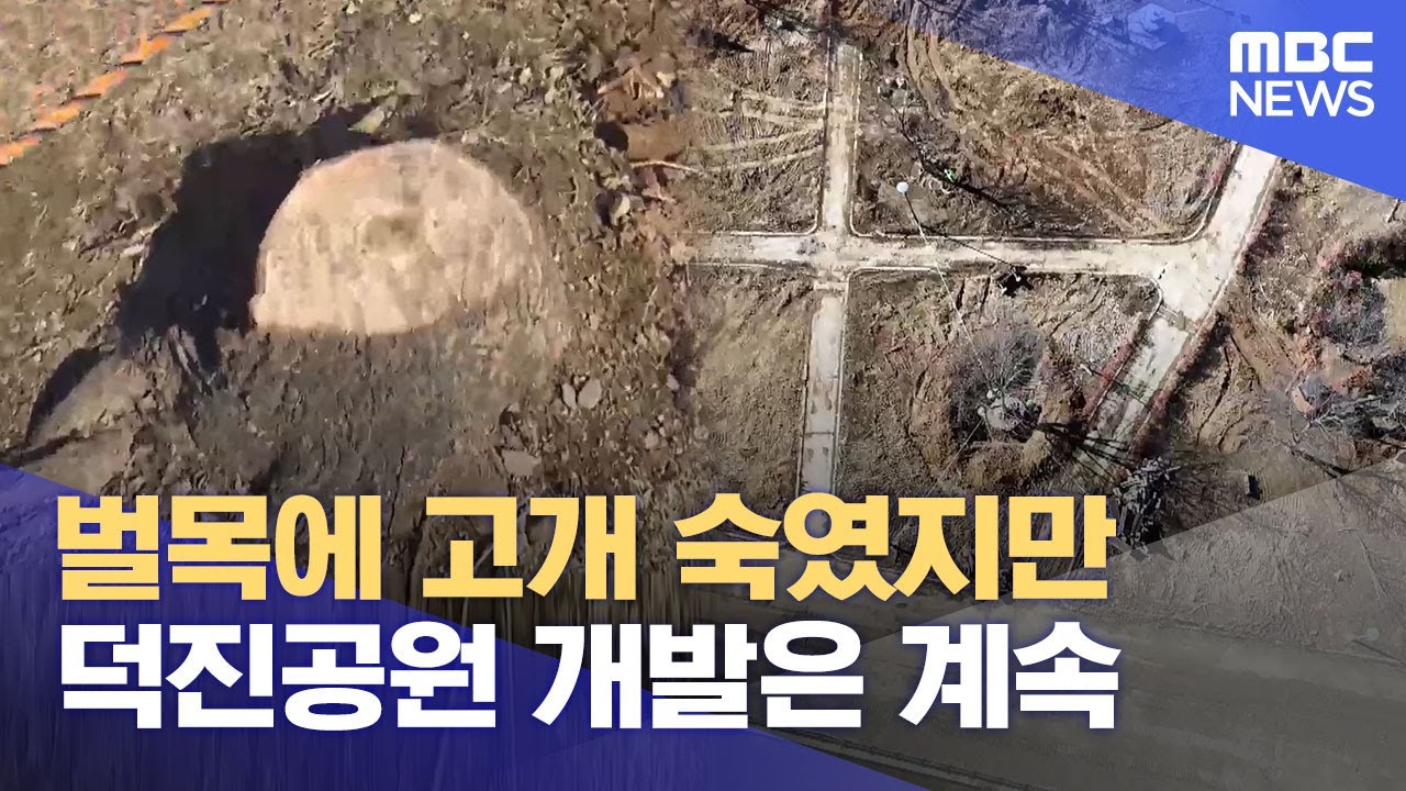 벌목에 고개 숙였지만 덕진공원 개발은 계속 (2025.03.14/뉴스데스크/전주MBC)