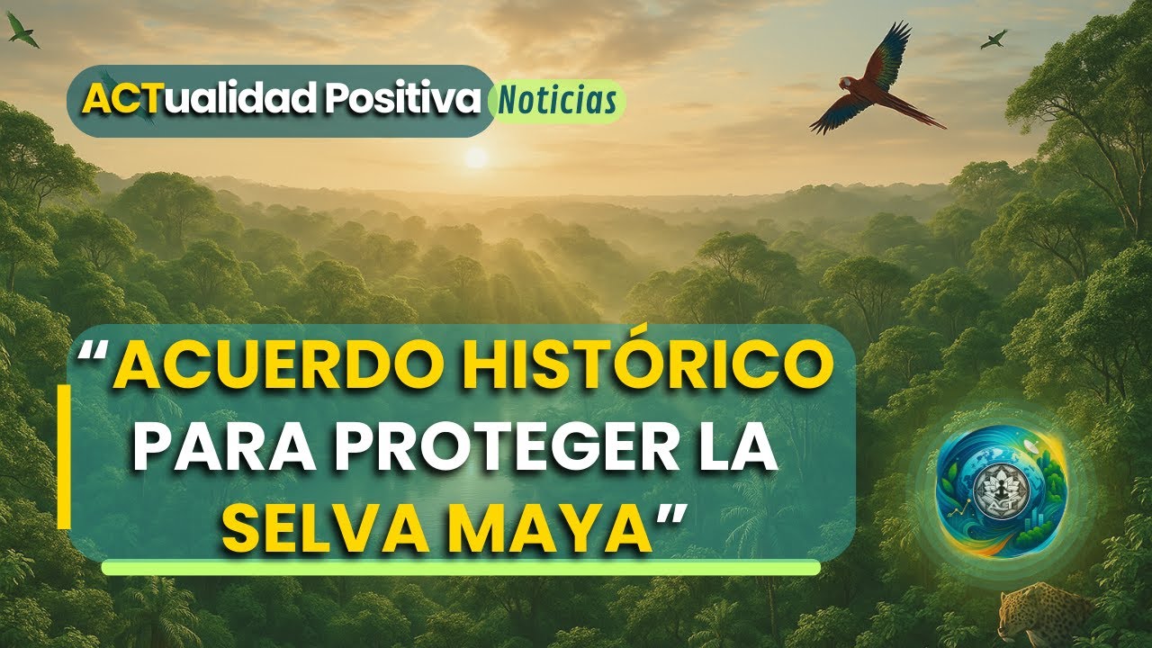 🌍 Acuerdo hist&oacute;rico para proteger la Selva Maya 🌱 | Noticias Positivas del Mundo