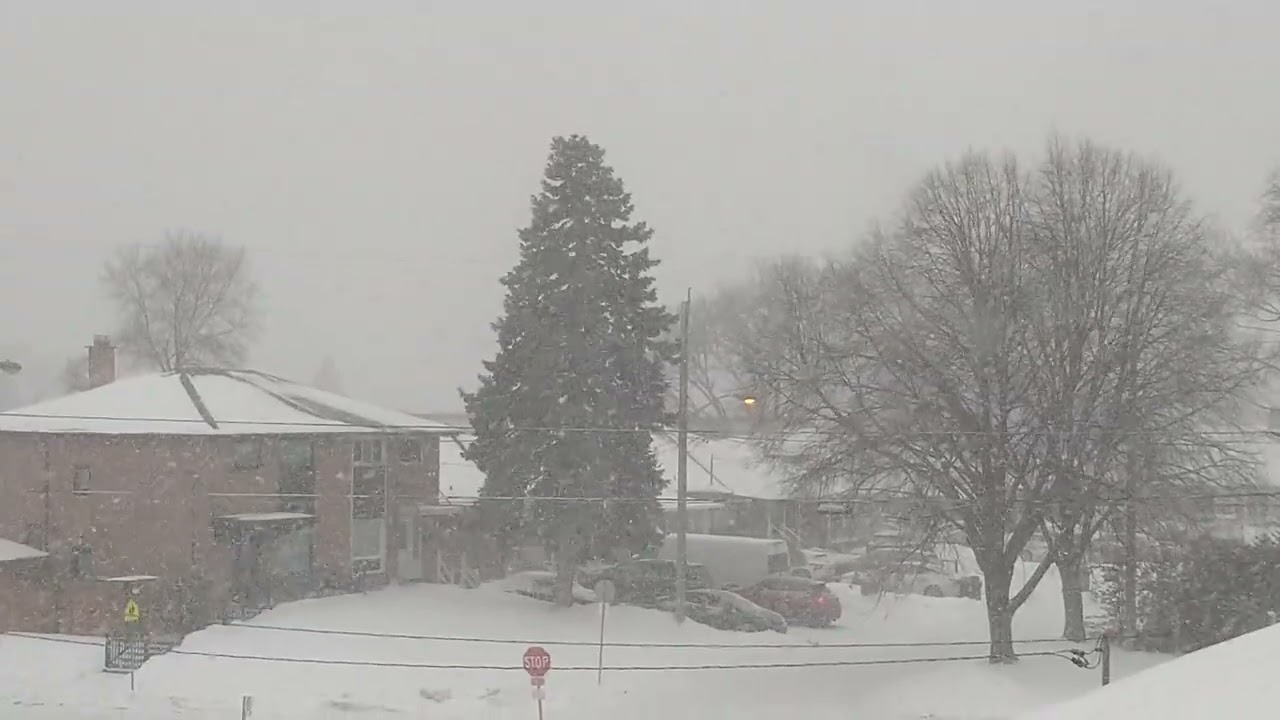 The Storm Has Started in North York, Ontario Jan. 25 2026