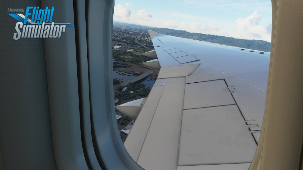 Microsoft Flight Simulator | How To Get Wing Views